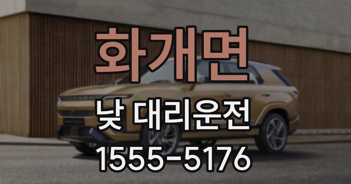 화개면 낮 대리운전
