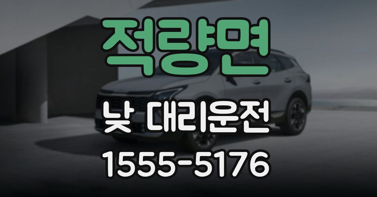 적량면 낮 대리운전