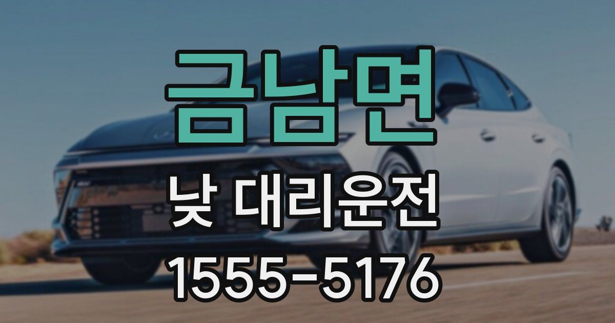 금남면 낮 대리운전