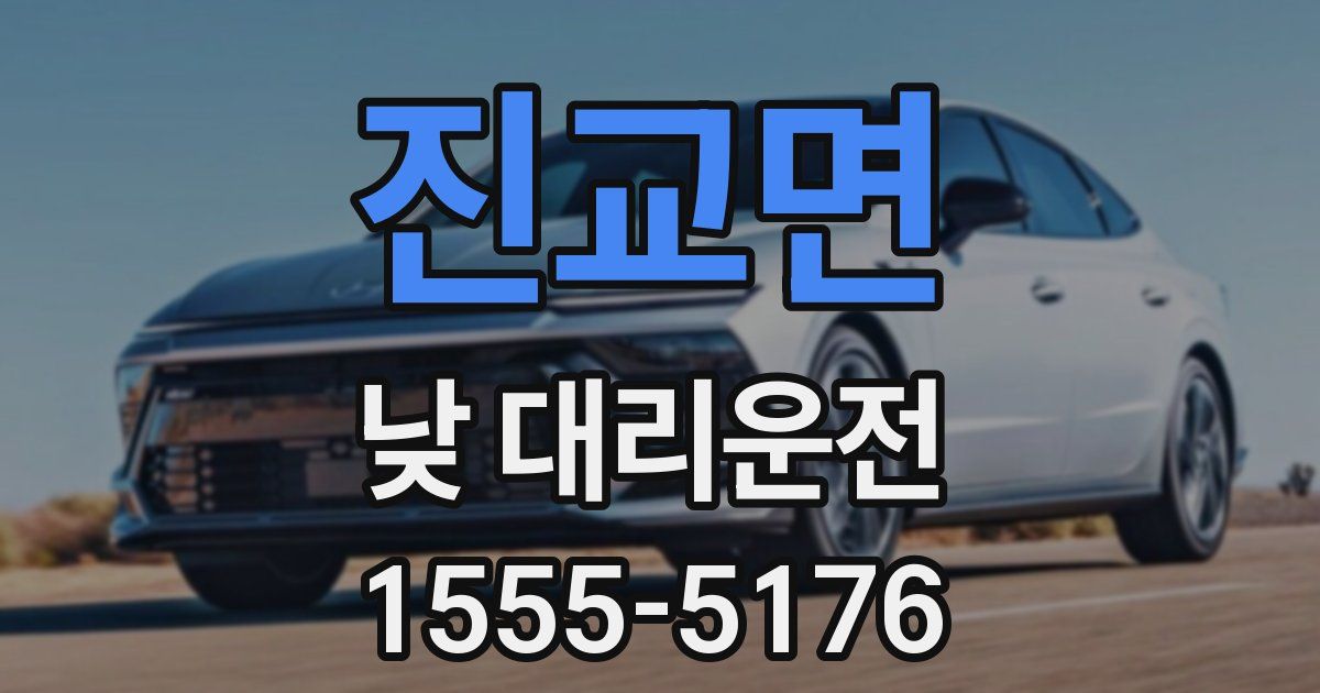 진교면 낮 대리운전