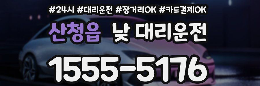 산청읍 낮 대리운전