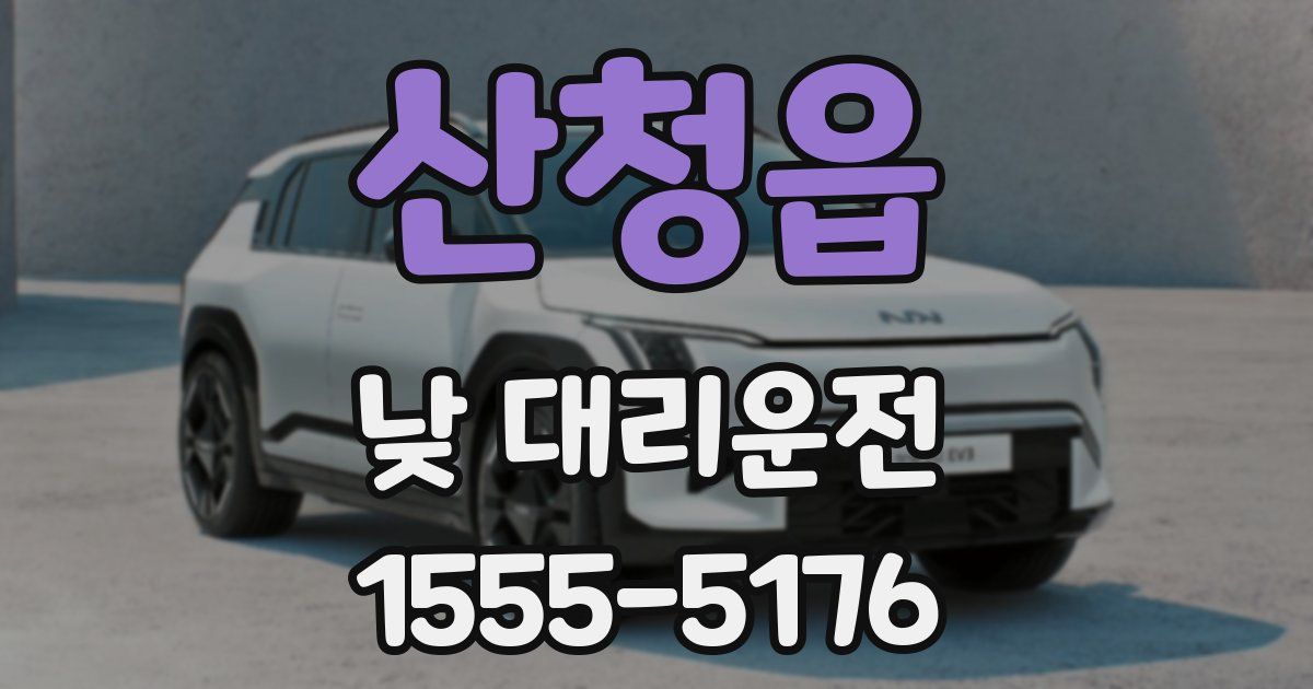 산청읍 낮 대리운전