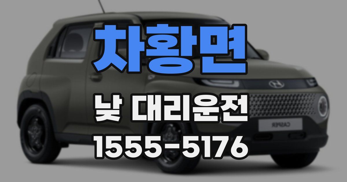 차황면 낮 대리운전