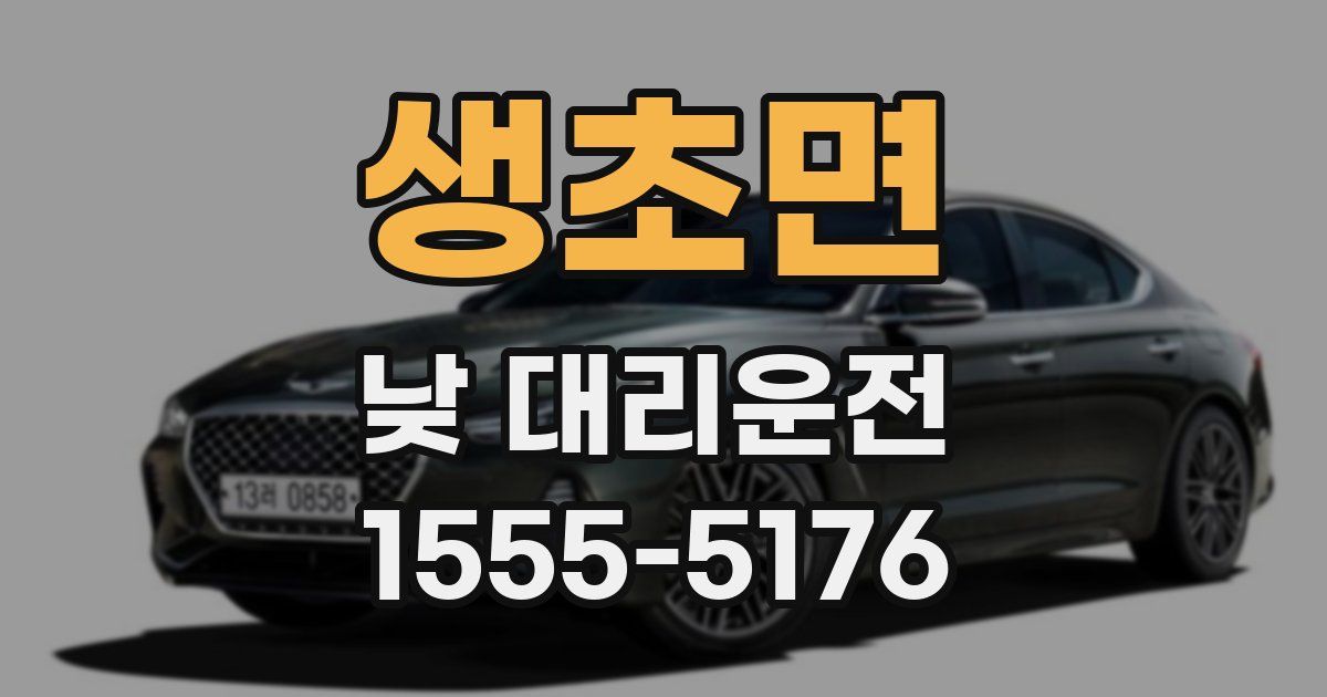 생초면 낮 대리운전