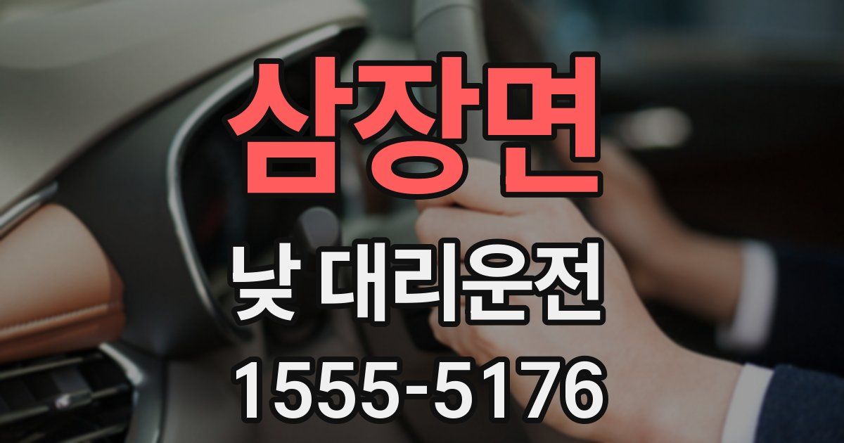 삼장면 낮 대리운전