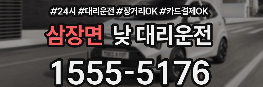 삼장면 낮 대리운전