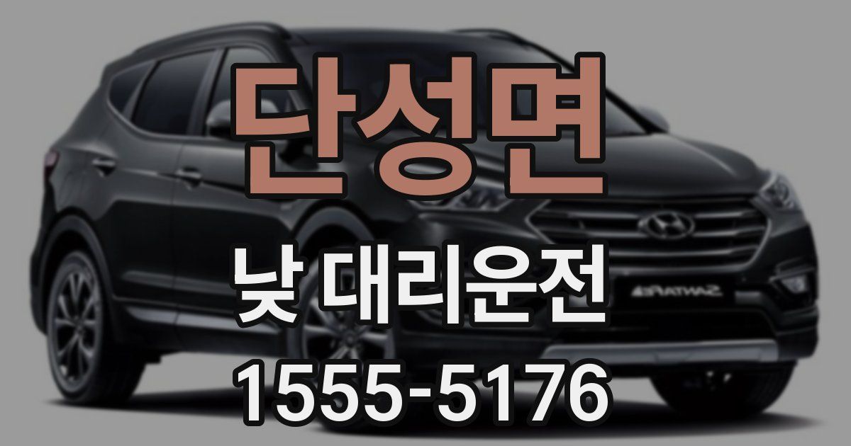 단성면 낮 대리운전