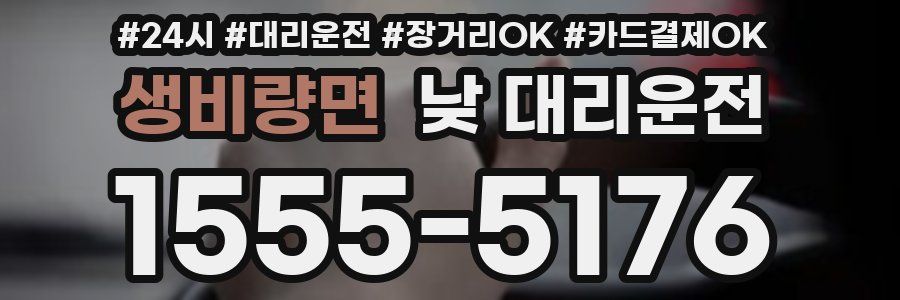생비량면 낮 대리운전