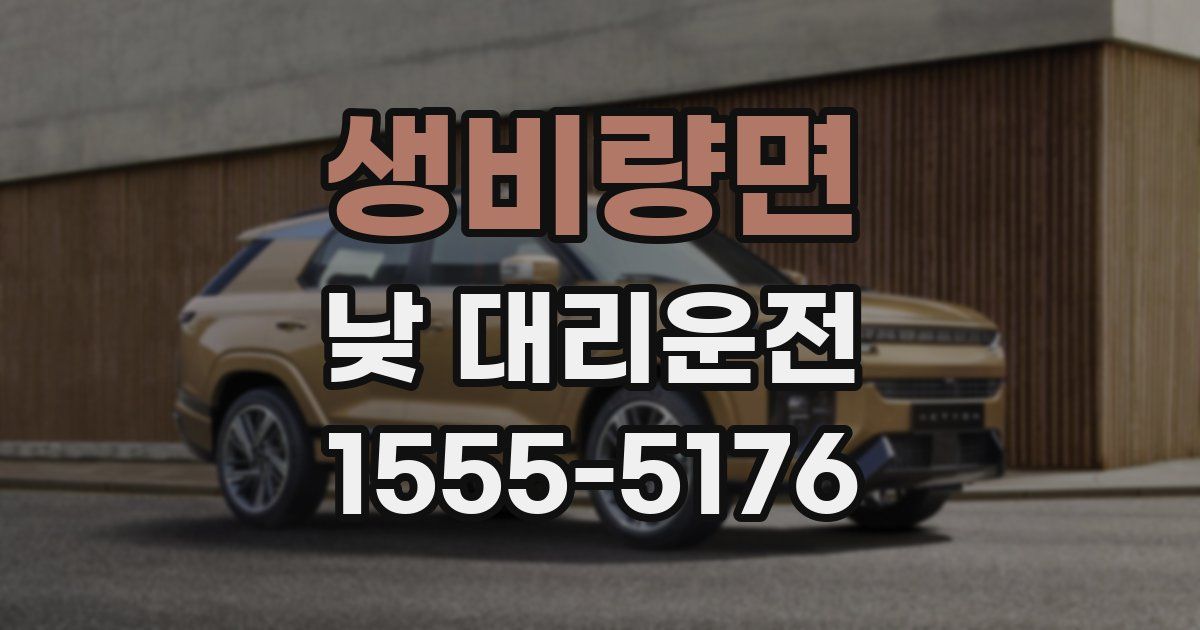 생비량면 낮 대리운전