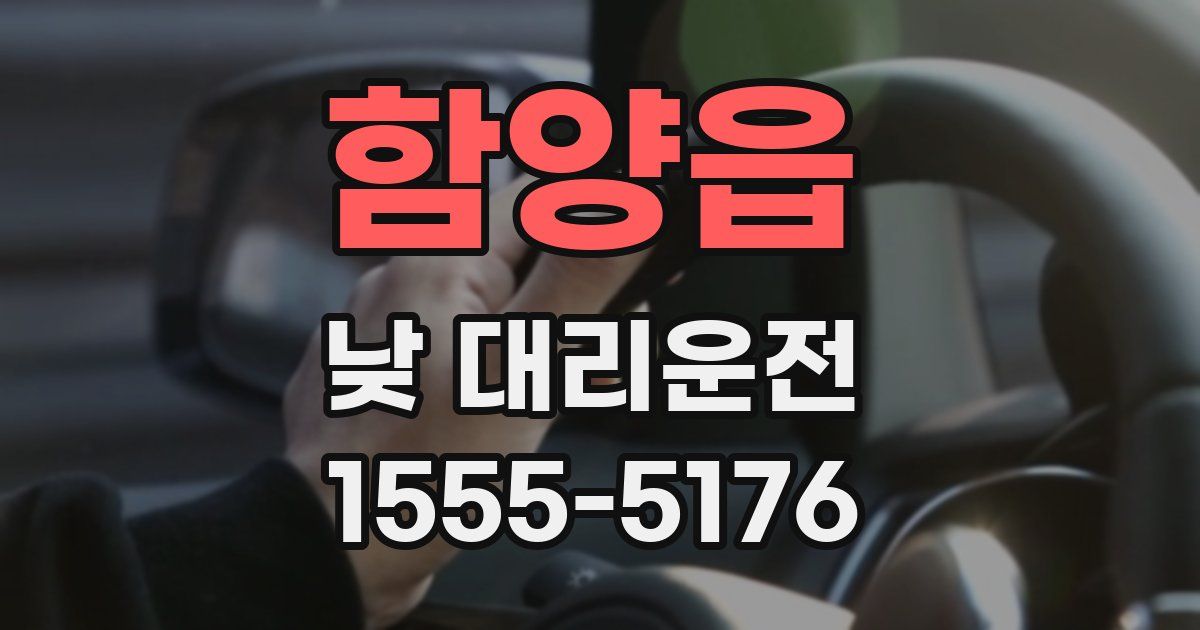 함양읍 낮 대리운전