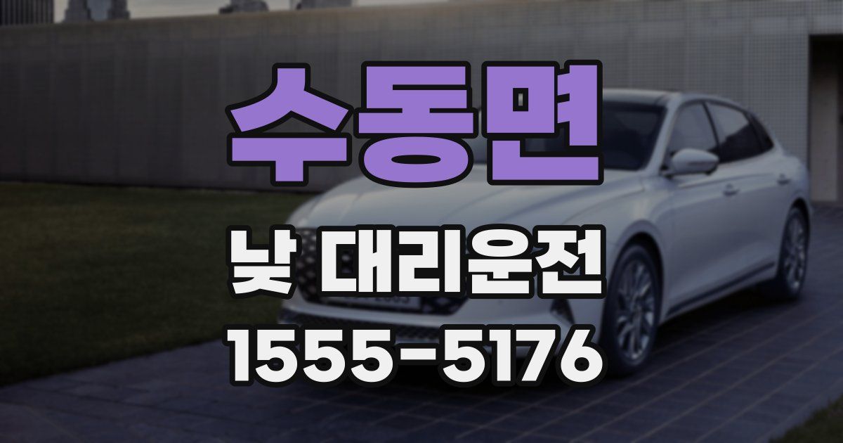 수동면 낮 대리운전