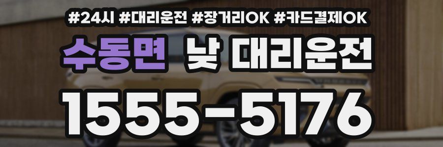 수동면 낮 대리운전