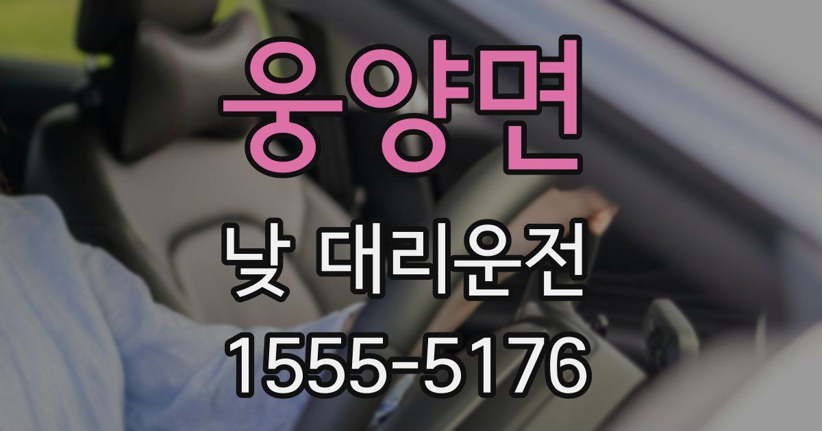 웅양면 낮 대리운전