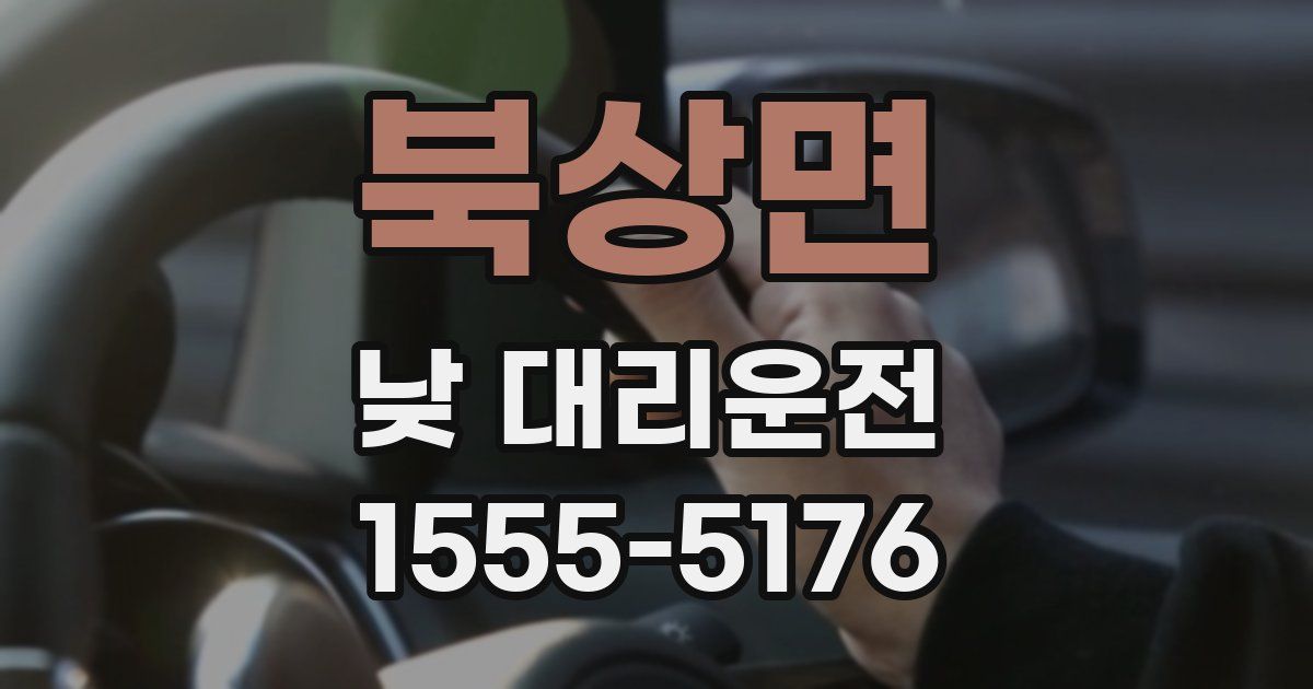 북상면 낮 대리운전