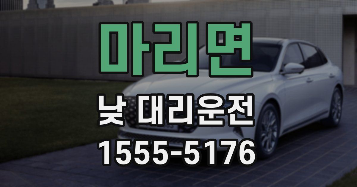마리면 낮 대리운전