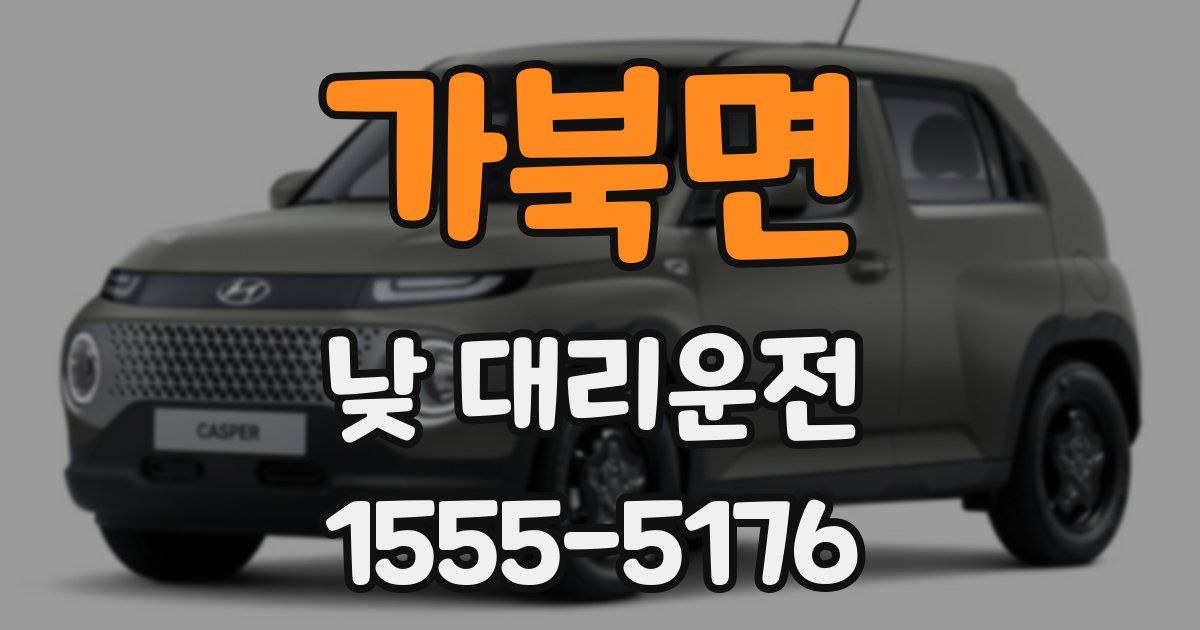 가북면 낮 대리운전
