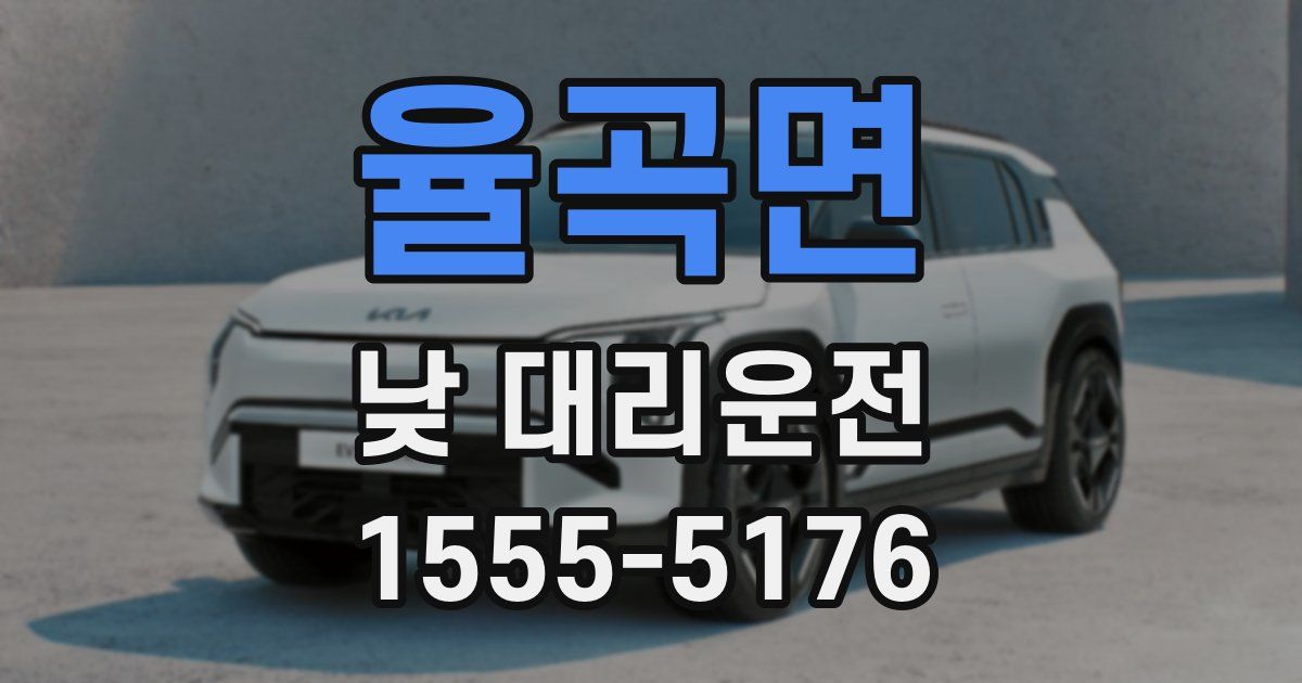 율곡면 낮 대리운전