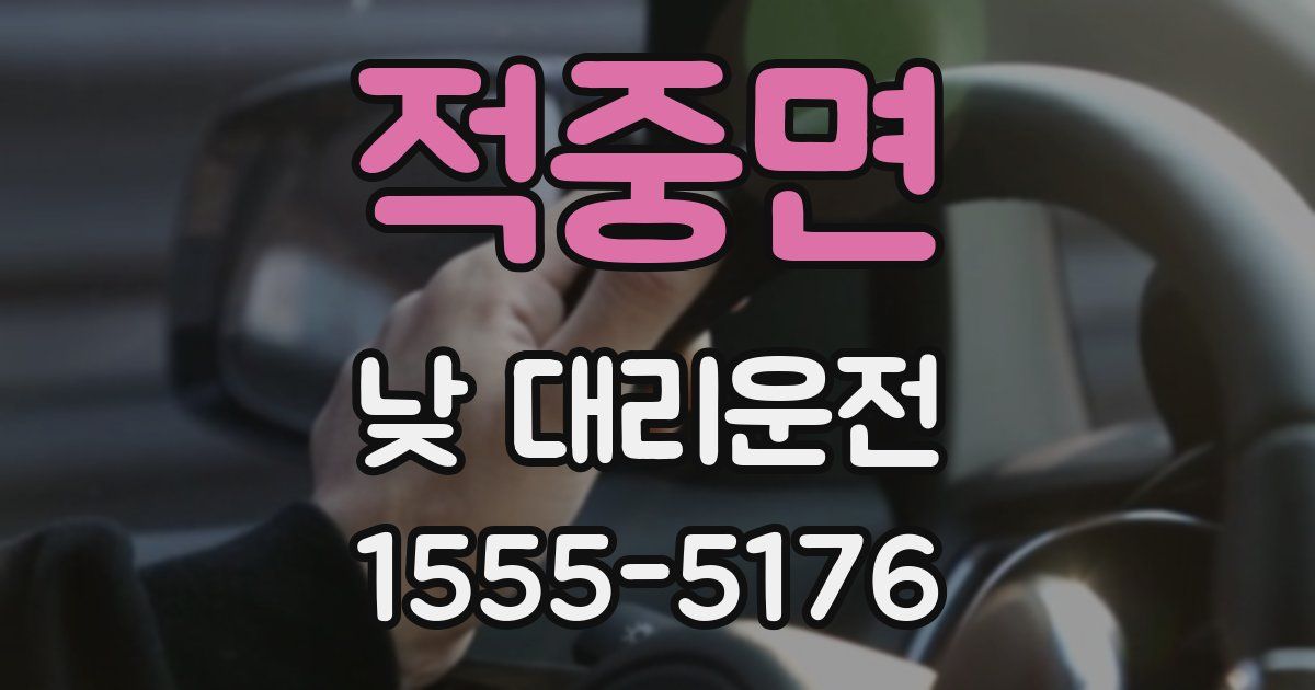 적중면 낮 대리운전