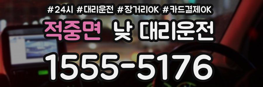 적중면 낮 대리운전