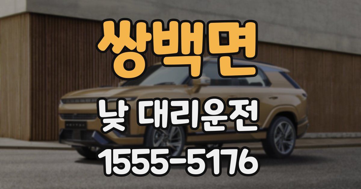 쌍백면 낮 대리운전