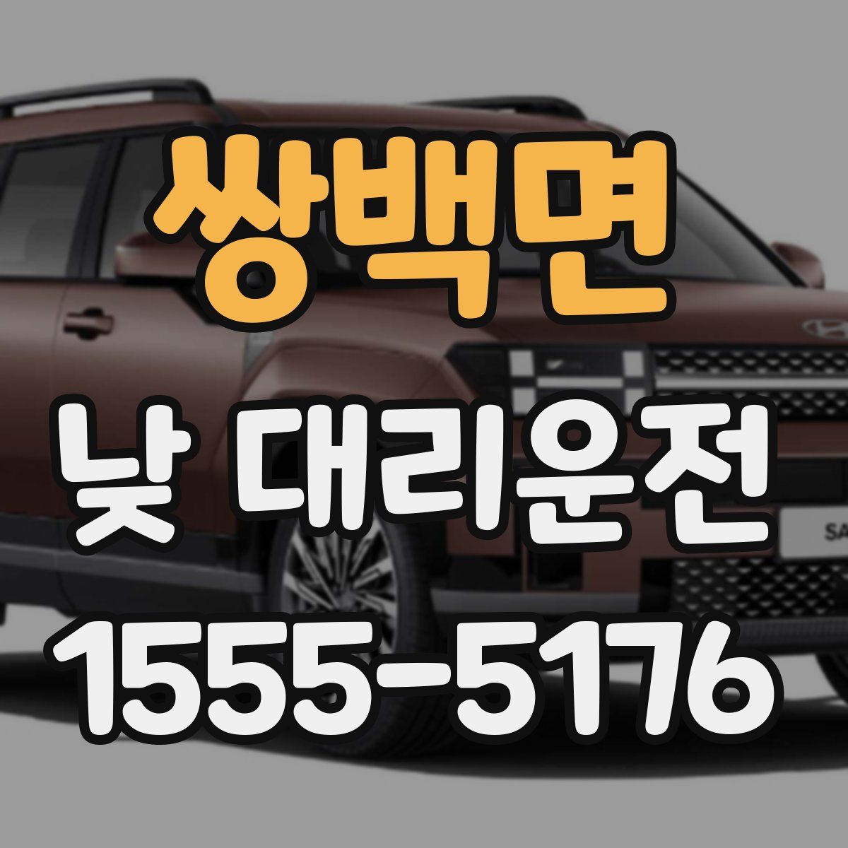 쌍백면 낮 대리운전