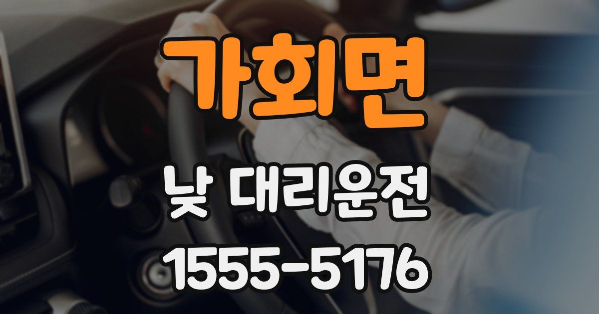 가회면 낮 대리운전