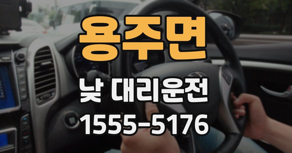 용주면 낮 대리운전