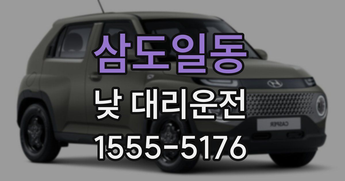삼도일동 낮 대리운전