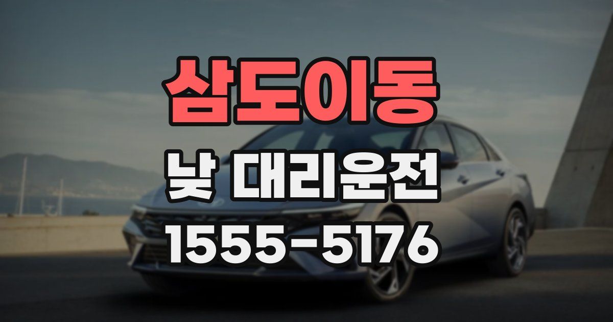 삼도이동 낮 대리운전