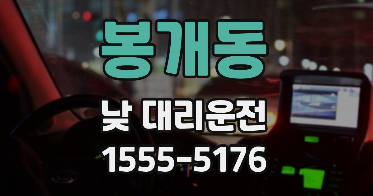 봉개동 낮 대리운전