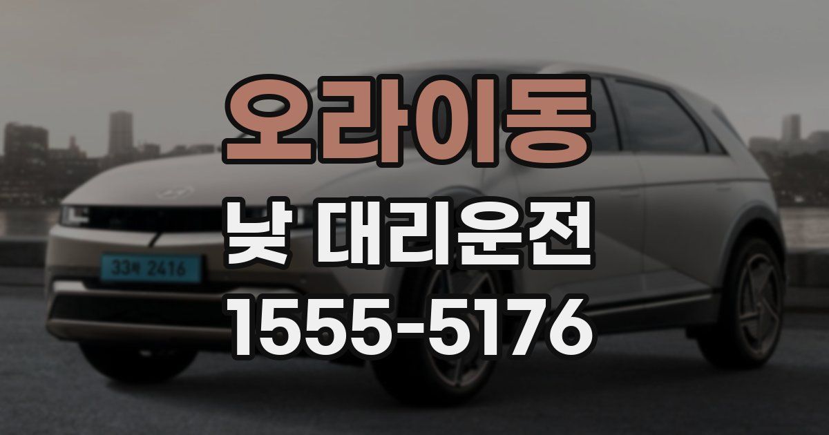 오라이동 낮 대리운전