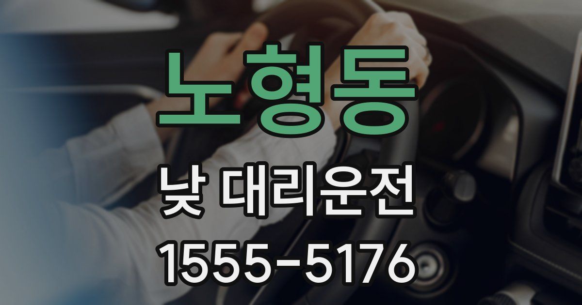 노형동 낮 대리운전