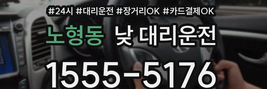 노형동 낮 대리운전