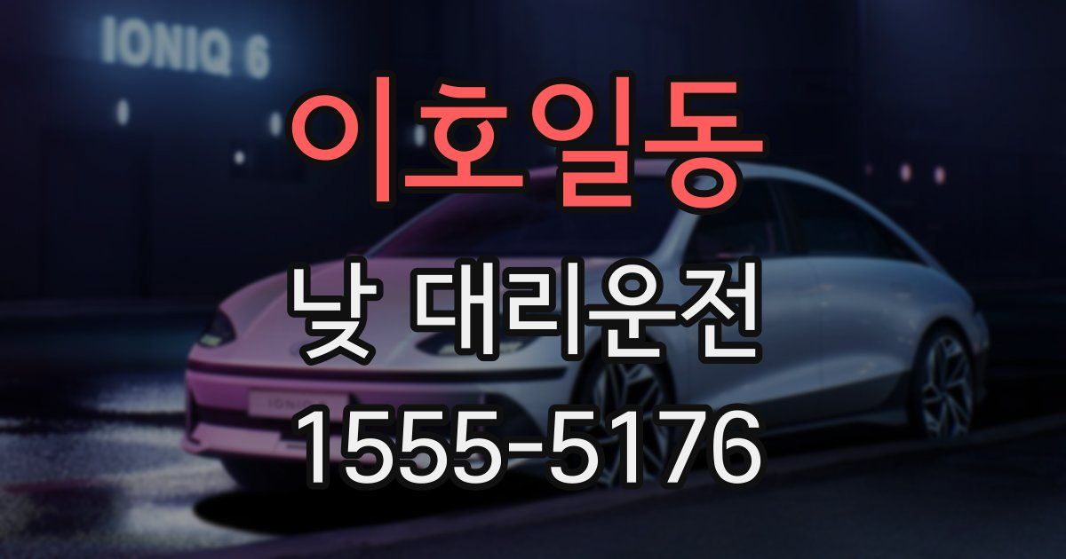 이호일동 낮 대리운전