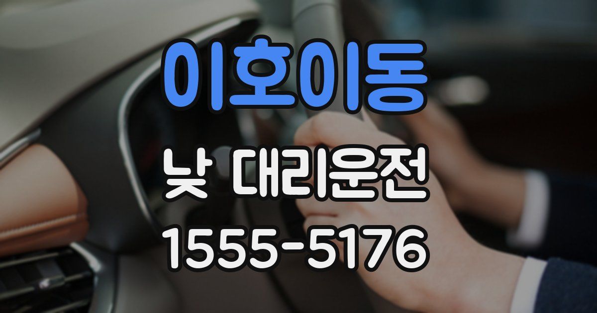 이호이동 낮 대리운전