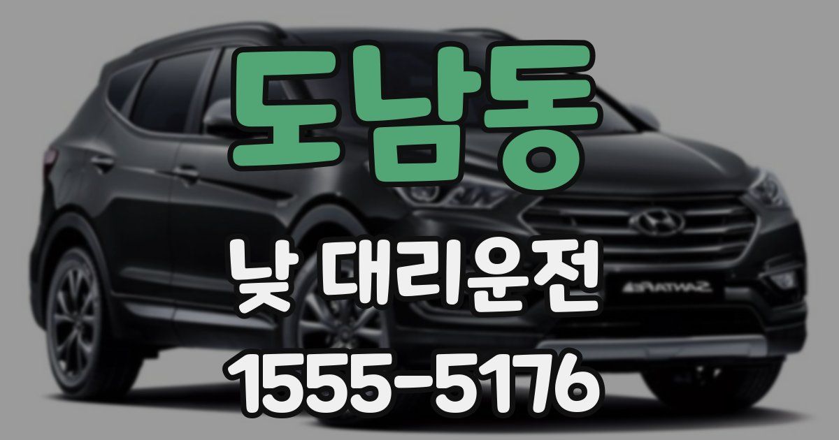 도남동 낮 대리운전