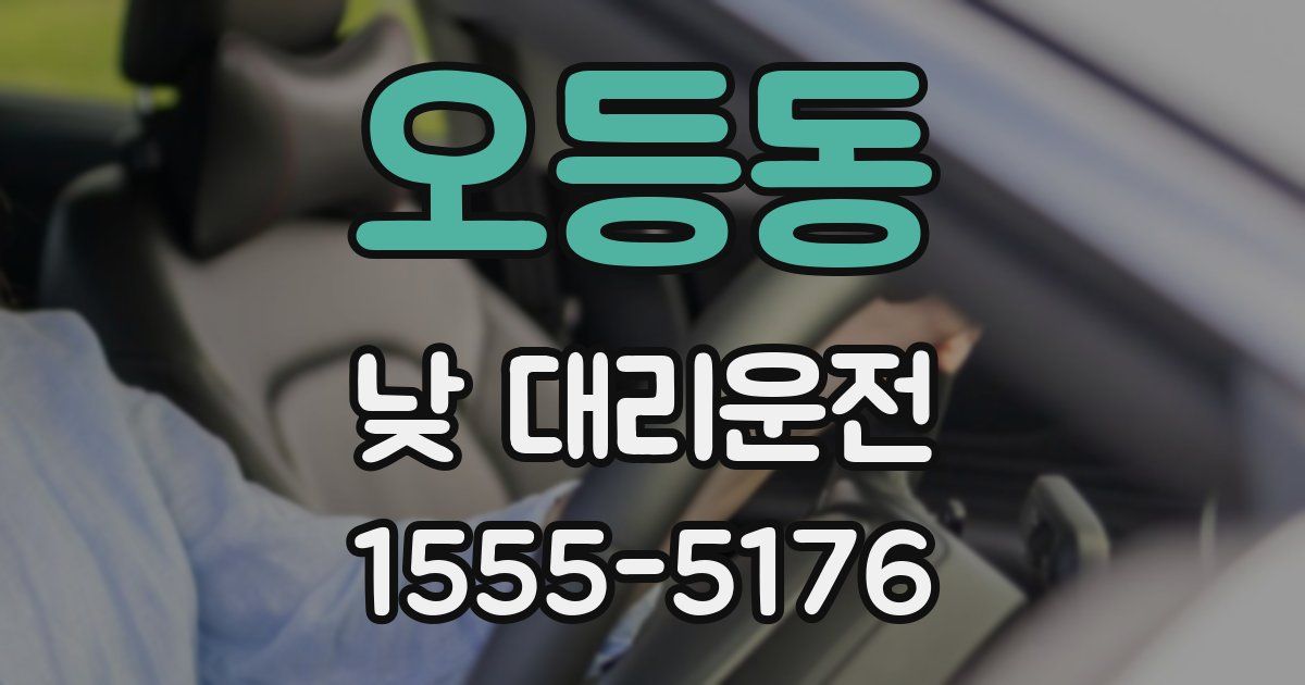 오등동 낮 대리운전