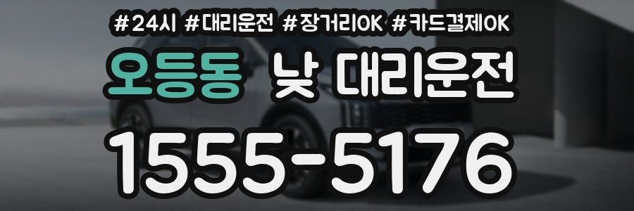 오등동 낮 대리운전
