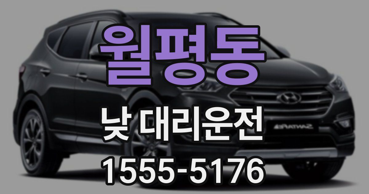 월평동 낮 대리운전
