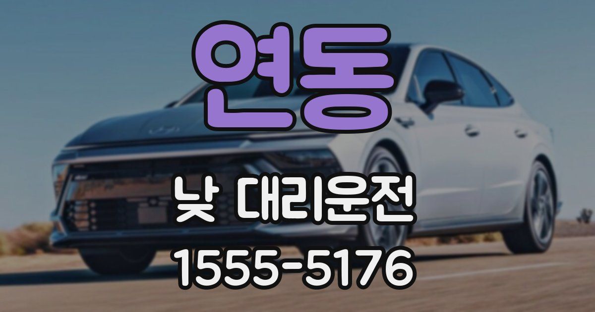 연동 낮 대리운전