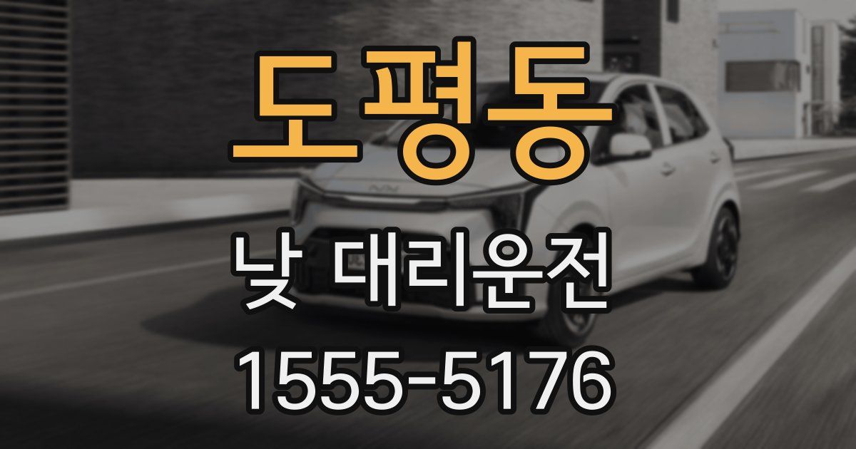 도평동 낮 대리운전