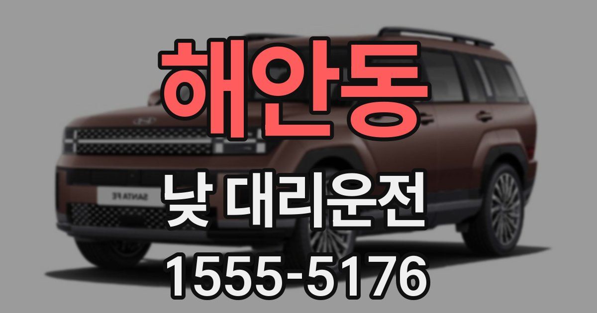 해안동 낮 대리운전