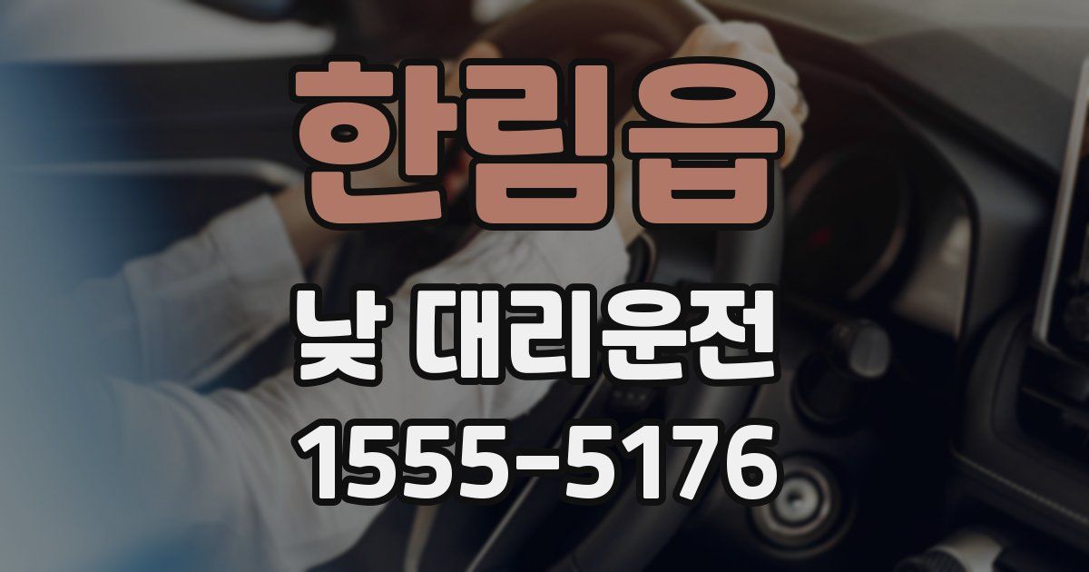 한림읍 낮 대리운전