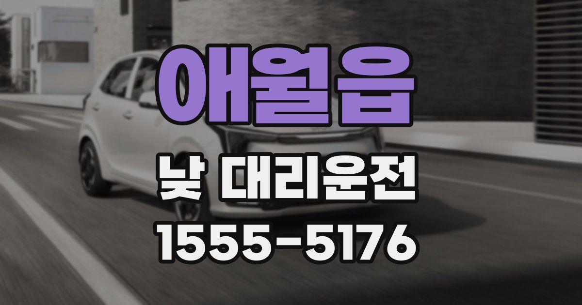 애월읍 낮 대리운전