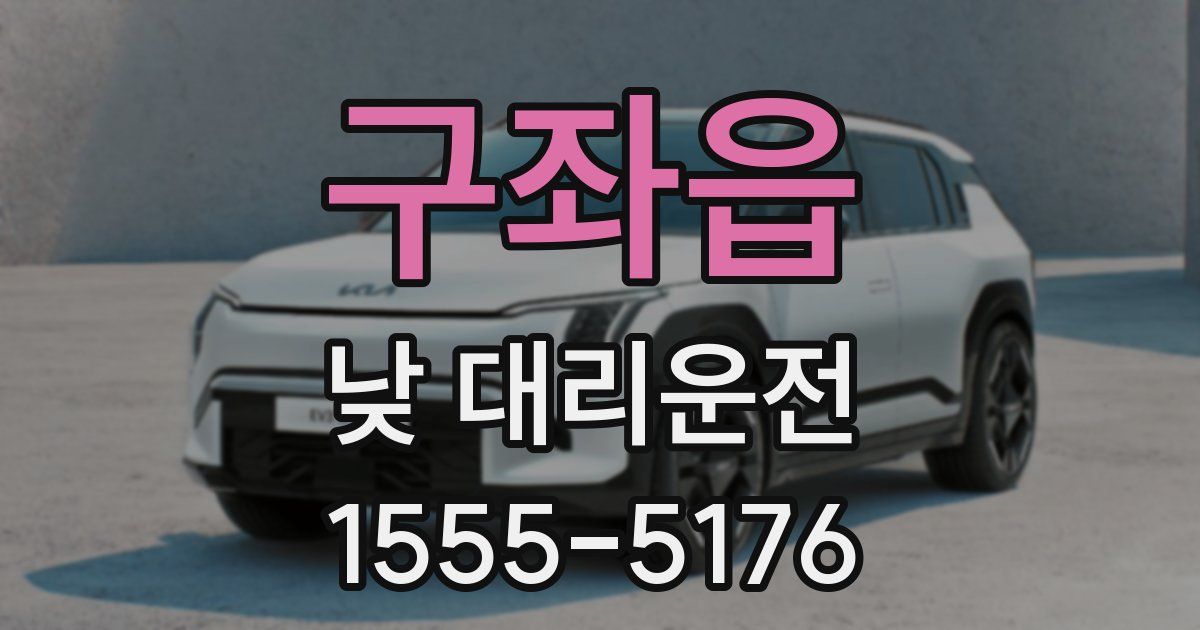 구좌읍 낮 대리운전