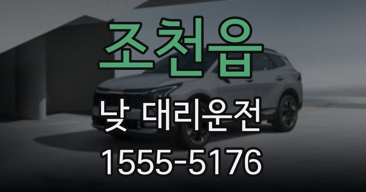 조천읍 낮 대리운전