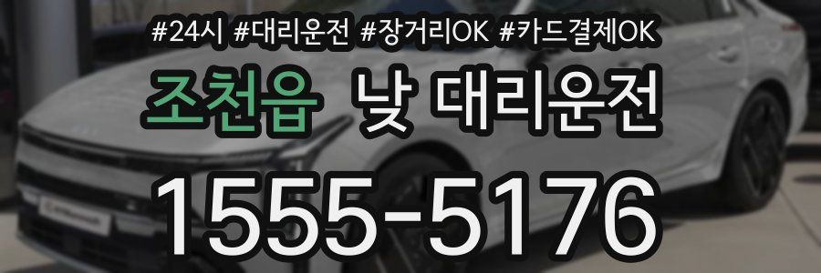 조천읍 낮 대리운전
