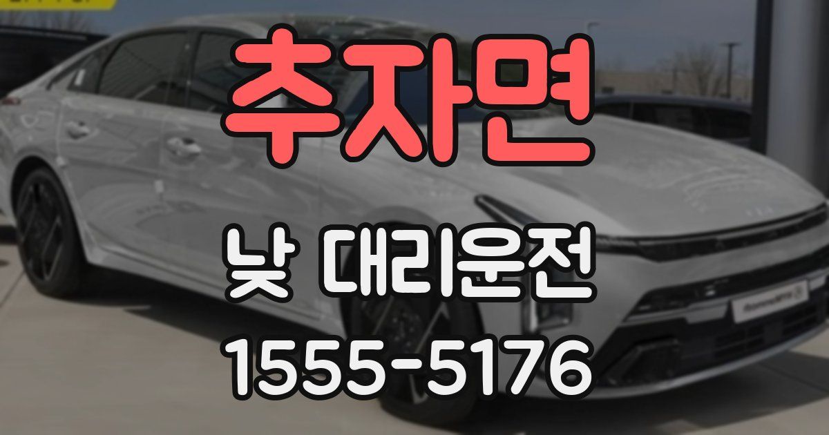 추자면 낮 대리운전