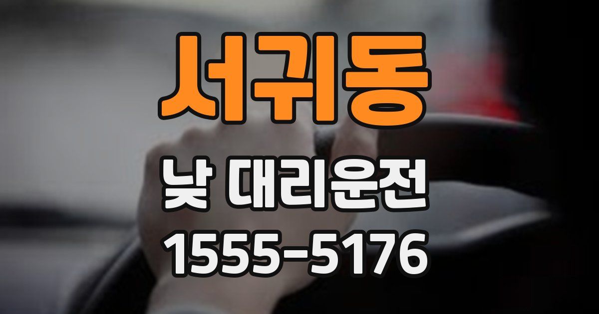 서귀동 낮 대리운전