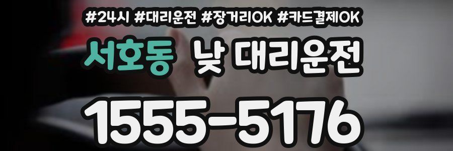 서호동 낮 대리운전